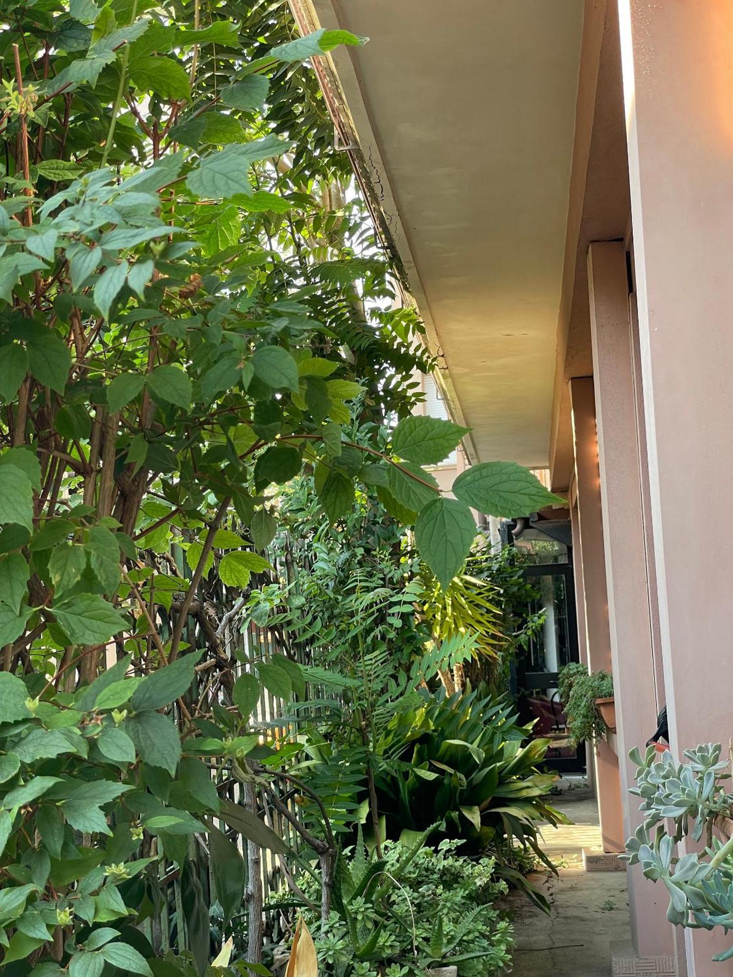 Hotel Berlino Cattolica Buitenkant foto